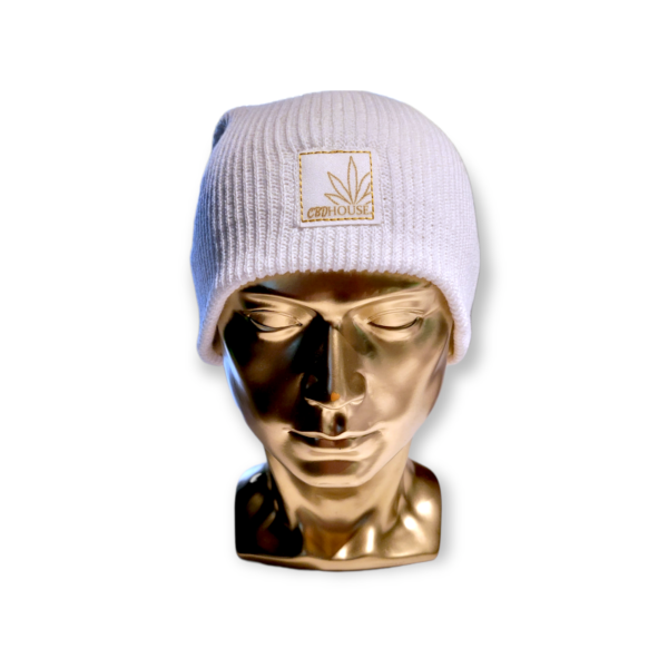 Slouch Beanie